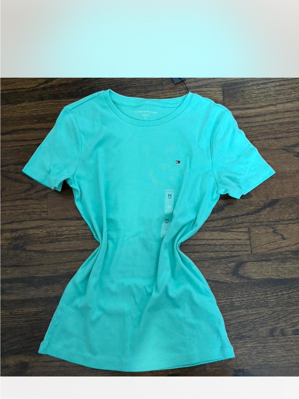 Tommy Hilfiger Short Sleeve Crew Neck Tee in Aqua Blue